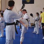 Провідні тхеквондисти ШВСМ стали учасниками Олімпійського дня у Донецькому обласному спортивному коледжі